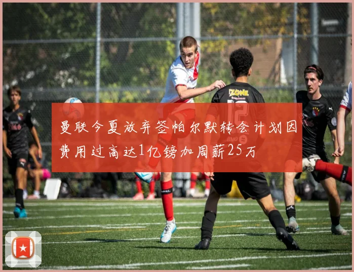 曼联今夏放弃签帕尔默转会计划因费用过高达1亿镑加周薪25万
